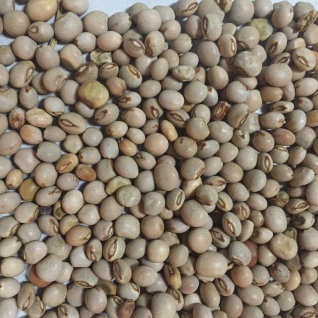 Kishorchandra Kalyanji Agri LLP Pigeon Pea / Red Gram (Toor / Arhar)
